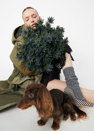 STELLA NOVA AW26 - HIGHLAND NIGHTCLUBBING