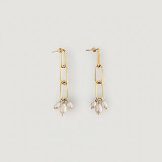 Oorbellen Pearls