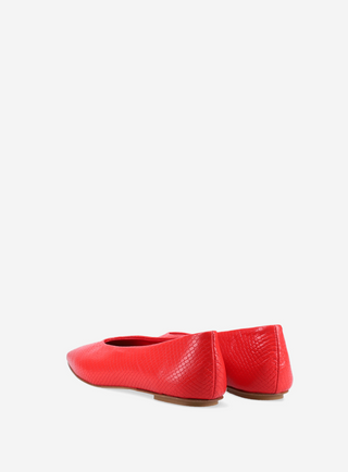 Ballerina Bilbao Red Python