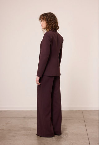 Broek Valeria Aubergine